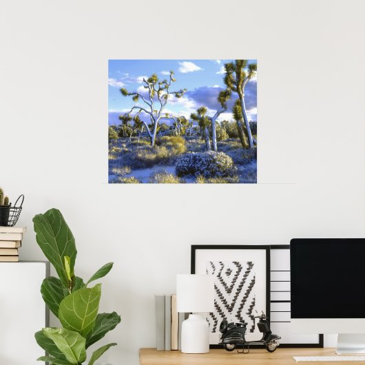 アメリカ、カリフォルニア、ジョシュア・ツリー国立公園。2 ポスター (ホームオフィス)