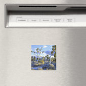 アメリカ、カリフォルニア、ジョシュア・ツリー国立公園。2 マグネット (インサイチュ (食洗機))