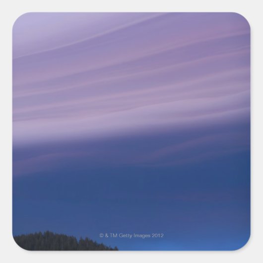 アメリカ、カリフォルニア、タホ湖、ランドスケープ スクエアシール (正面)