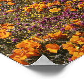 アメリカ,カリフォルニア,テハチャピ山脈, 2 ポスター (角)