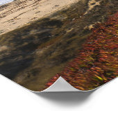 アメリカ、カリフォルニア、ビッグサー、レッドプラント(ビーチ) ポスター (角)