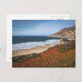 アメリカ、カリフォルニア、ビッグサー、レッドプラント(ビーチ) ポストカード (正面/裏面)