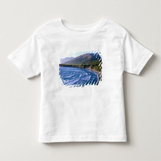 アメリカ、カリフォルニア、ビッグスール、ハイウェイ1沿いの湾。 トドラーTシャツ (正面)