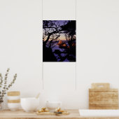 アメリカ、カリフォルニア、ポイントロボス、ヒノキの木と ポスター (キッチン)