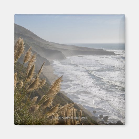 アメリカ、カリフォルニア、メンドシーノ海岸 マグネット (正面)