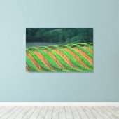 アメリカ、カリフォルニア、メンドシーノ郡、トレライズド キャンバスプリント (インサイチュ (ウッドフロア))