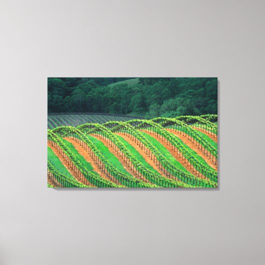 アメリカ、カリフォルニア、メンドシーノ郡、トレライズド キャンバスプリント (正面)