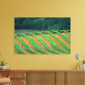 アメリカ、カリフォルニア、メンドシーノ郡、トレライズド キャンバスプリント (インサイチュ (リビング))