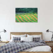 アメリカ、カリフォルニア、メンドシーノ郡、トレライズド キャンバスプリント (インサイチュ (寝室))