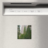 アメリカ、カリフォルニア、ヨセミテ国立公園、エル4 マグネット (インサイチュ (食洗機))