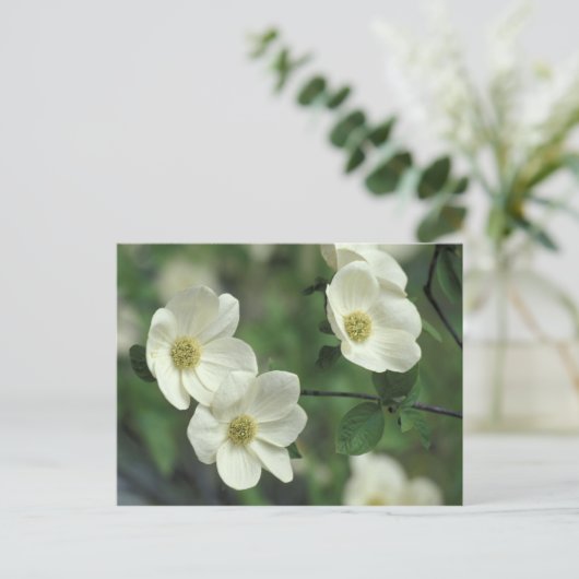 アメリカ、カリフォルニア、ヨセミテNP、メルセド沿い ポストカード (スタンド正面)