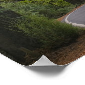 アメリカ、カリフォルニア、レッドウッドの森を通る道2 ポスター (角)