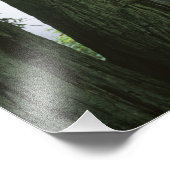 アメリカ、カリフォルニア、レッドウッド国立公園、 フォトプリント            (角)