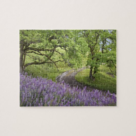 アメリカ、カリフォルニア、レッドウッド国立公園。土 ジグソーパズル (横)