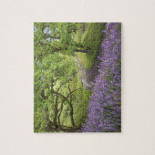 アメリカ、カリフォルニア、レッドウッド国立公園。土 ジグソーパズル (縦)