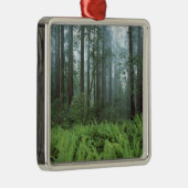 アメリカ、カリフォルニア、レッドウッドNP.シダと メタルオーナメント (右)