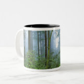 アメリカ、カリフォルニア、レッドウッドNP。セコイア ツートーンマグカップ (正面左)