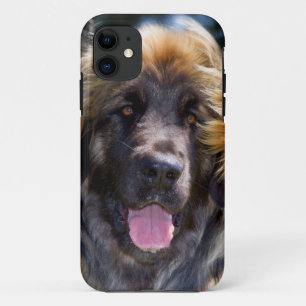 アメリカ、カリフォルニア。座っているレオンベルガーの肖像 iPhone 11 ケース