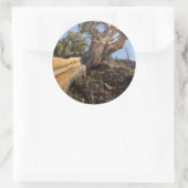 アメリカ、カリフォルニア、稲葉国有林12 ラウンドシール (バッグ)