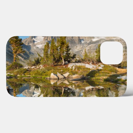 アメリカ、カリフォルニア、稲葉国有林13 Case-Mate iPhoneケース (裏面 (横))