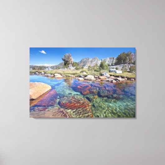 アメリカ、カリフォルニア、稲葉国有林4 キャンバスプリント (正面)