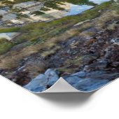 アメリカ、カリフォルニア、稲葉国有林。オールドパイン ポスター (角)