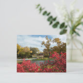 アメリカ - カンザス州 - ウィチタ市中心部 ポストカード (スタンド正面)