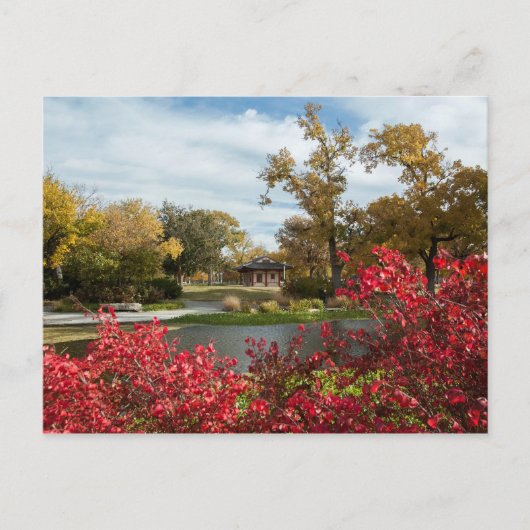 アメリカ - カンザス州 - ウィチタ市中心部 ポストカード (正面)