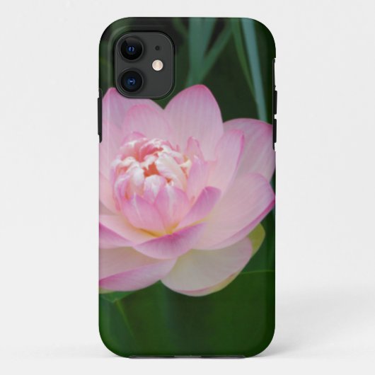 アメリカ、カンザス州、ピンクのスイレン Case-Mate iPhoneケース (裏面)
