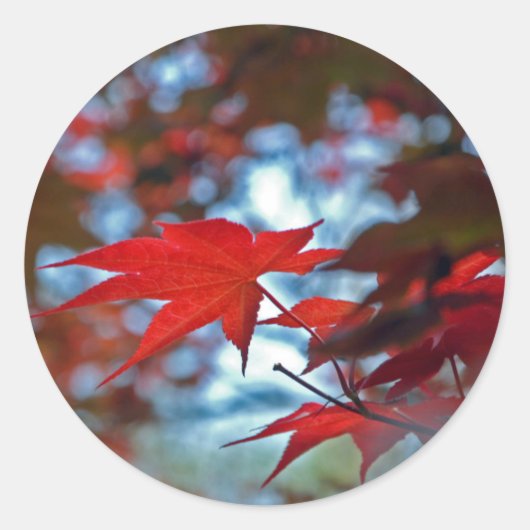 アメリカ、カンザス州。紅葉 ラウンドシール (正面)