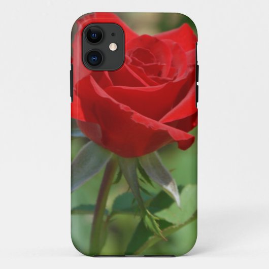 アメリカ、カンザス州、赤いバラ Case-Mate iPhoneケース (裏面)