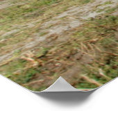 アメリカ、カンザス、オールドレッドバーン ポスター (角)