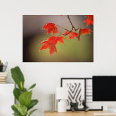 アメリカ、カンザス、葉レッド秋 ポスター (ホームオフィス)