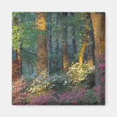 アメリカ、グルジア、キャラウェイ・ガーデン、アザレアの森。 マグネット (正面)