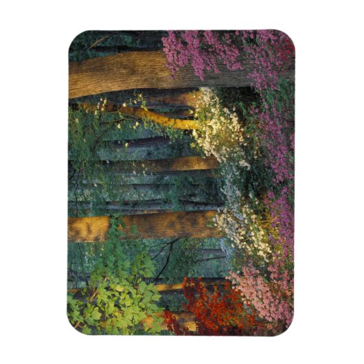 アメリカ、グルジア、キャラウェイ・ガーデン、アザレアの森。 マグネット (縦)