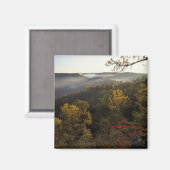 アメリカ、ケンタッキー。ダニエル・ブーン国有林。 マグネット (正面/裏面)