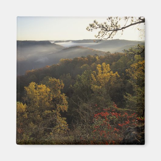 アメリカ、ケンタッキー。ダニエル・ブーン国有林。 マグネット (正面)