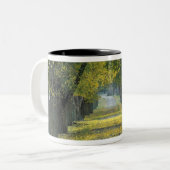 アメリカ、ケンタッキー、ルイビル。〜の並木道 ツートーンマグカップ (正面左)