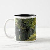 アメリカ、ケンタッキー、ルイビル。〜の並木道 ツートーンマグカップ (左)