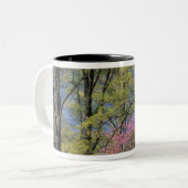 アメリカ、ケンタッキー、ルイビル。イースタンレッドブド ツートーンマグカップ (正面左)