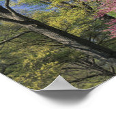 アメリカ、ケンタッキー、ルイビル。東レッドブド ポスター (角)