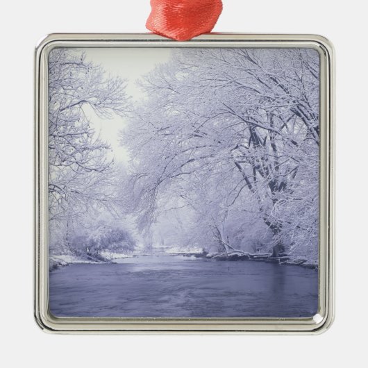 アメリカ、ケンタッキー、ルイビル。雪に覆われた メタルオーナメント (正面)