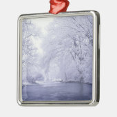 アメリカ、ケンタッキー、ルイビル。雪に覆われた メタルオーナメント (左)