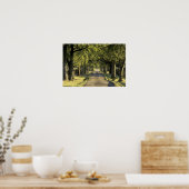 アメリカ、ケンタッキー、レキシントン。並木道 ポスター (キッチン)