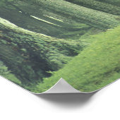 アメリカ、ケンタッキー。春の木の列 ポスター (角)