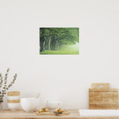 アメリカ、ケンタッキー。春の木の列 ポスター (キッチン)