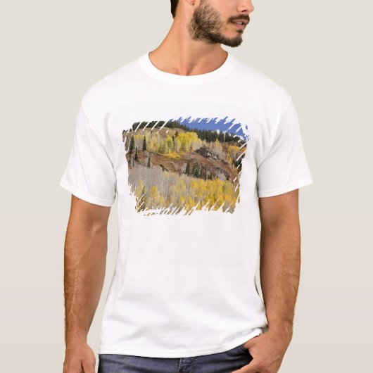 アメリカ、コロラド州、ガニソン国有林沿い Tシャツ (正面)