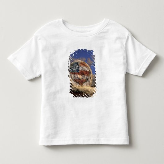 アメリカ、コロラド州、ガニソン。愛国的な干し草ロール トドラーTシャツ (正面)