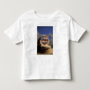 アメリカ、コロラド州、ガニソン。愛国的な干し草ロール トドラーTシャツ