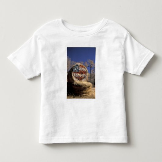 アメリカ、コロラド州、ガニソン。愛国的な干し草ロール トドラーTシャツ (正面)